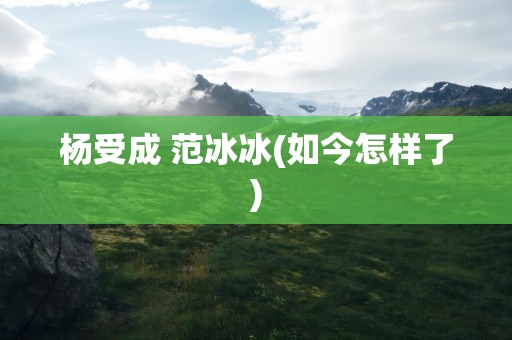 杨受成 范冰冰(如今怎样了)