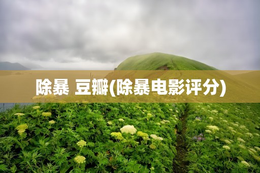 除暴 豆瓣(除暴电影评分)