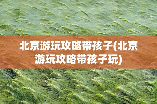 北京游玩攻略带孩子(北京游玩攻略带孩子玩)