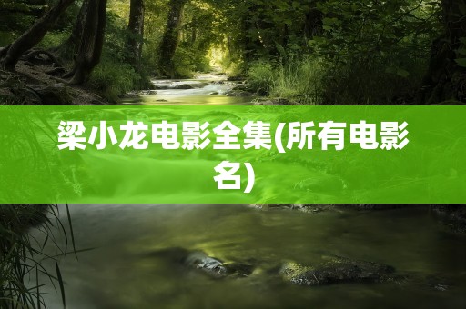 梁小龙电影全集(所有电影名)