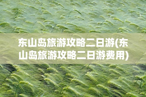 东山岛旅游攻略二日游(东山岛旅游攻略二日游费用)