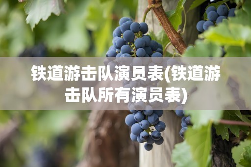 铁道游击队演员表(铁道游击队所有演员表)