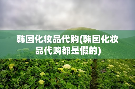 韩国化妆品代购(韩国化妆品代购都是假的)