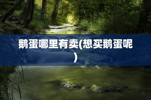 鹅蛋哪里有卖(想买鹅蛋呢)