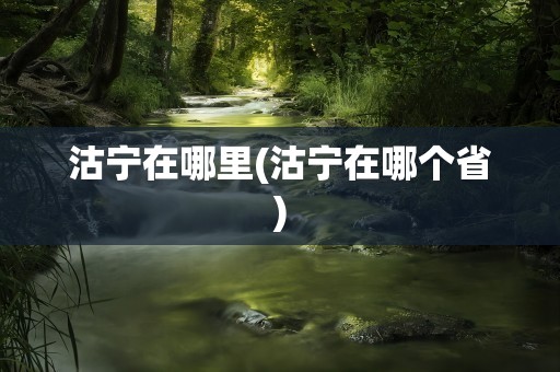 沽宁在哪里(沽宁在哪个省)