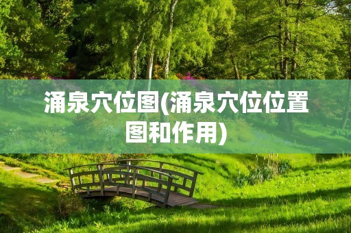 涌泉穴位图(涌泉穴位位置图和作用)