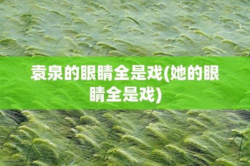 袁泉的眼睛全是戏(她的眼睛全是戏)