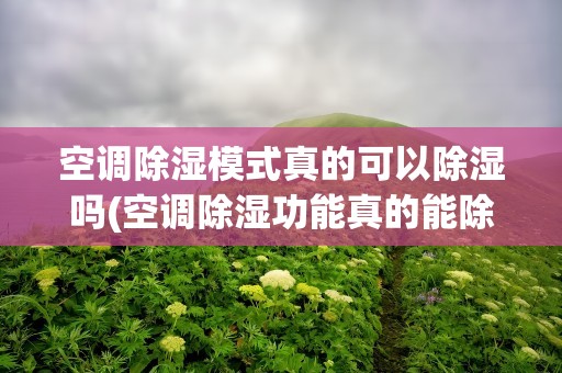 空调除湿模式真的可以除湿吗(空调除湿功能真的能除湿吗)