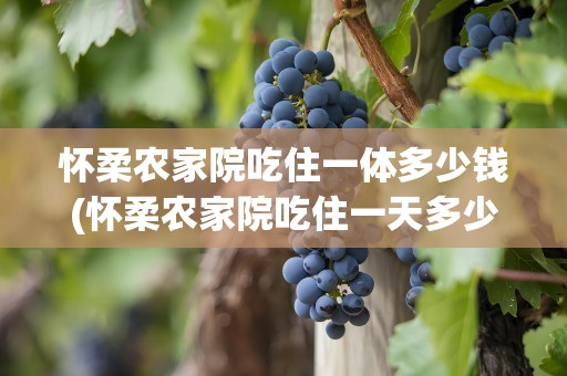 怀柔农家院吃住一体多少钱(怀柔农家院吃住一天多少钱)