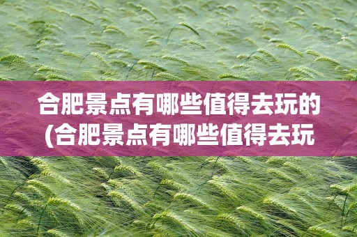 合肥景点有哪些值得去玩的(合肥景点有哪些值得去玩的地方)