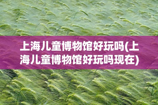 上海儿童博物馆好玩吗(上海儿童博物馆好玩吗现在)