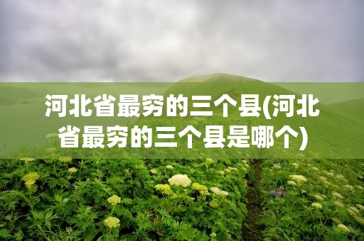 河北省最穷的三个县(河北省最穷的三个县是哪个)