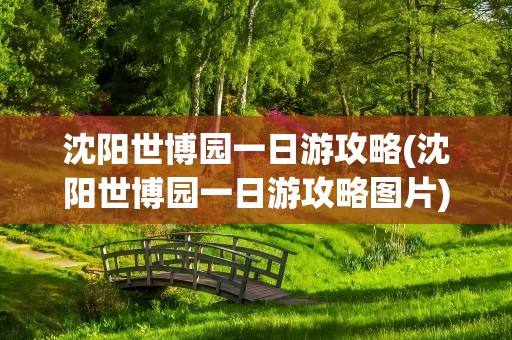 沈阳世博园一日游攻略(沈阳世博园一日游攻略图片)