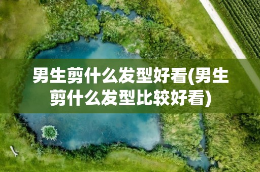 男生剪什么发型好看(男生剪什么发型比较好看)