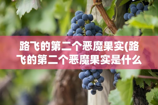路飞的第二个恶魔果实(路飞的第二个恶魔果实是什么)