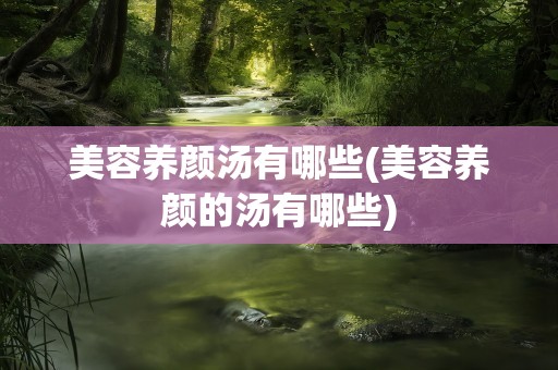 美容养颜汤有哪些(美容养颜的汤有哪些)