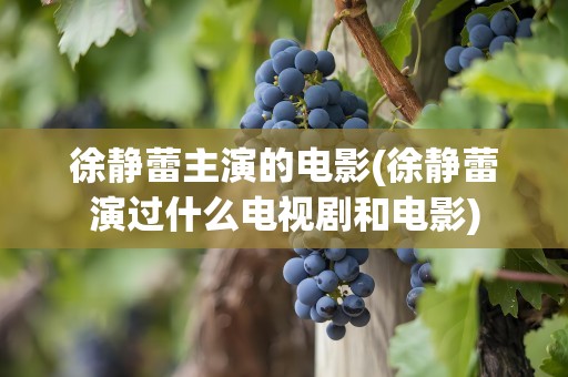 徐静蕾主演的电影(徐静蕾演过什么电视剧和电影)