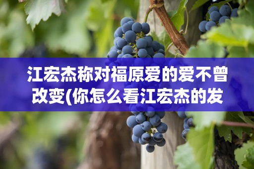 江宏杰称对福原爱的爱不曾改变(你怎么看江宏杰的发言)