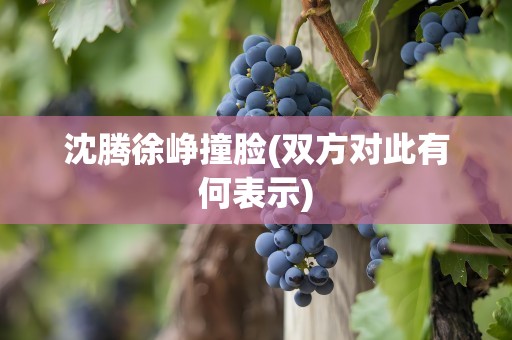 沈腾徐峥撞脸(双方对此有何表示)