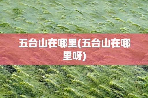 五台山在哪里(五台山在哪里呀)