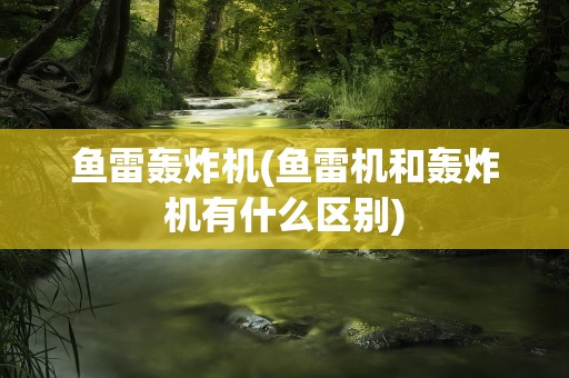 鱼雷轰炸机(鱼雷机和轰炸机有什么区别)