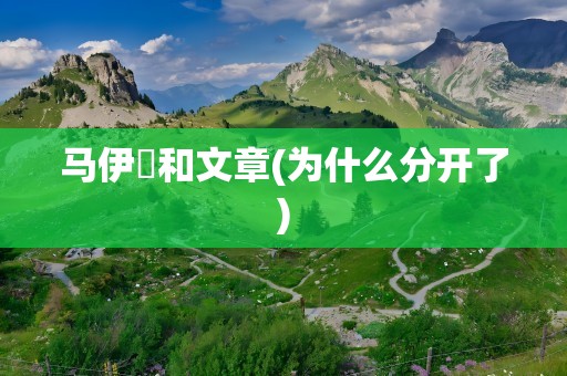 马伊琍和文章(为什么分开了)