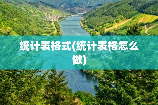 统计表格式(统计表格怎么做)