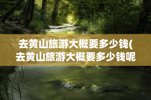 去黄山旅游大概要多少钱(去黄山旅游大概要多少钱呢)