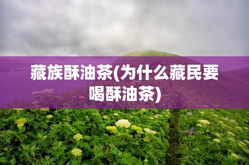 藏族酥油茶(为什么藏民要喝酥油茶)
