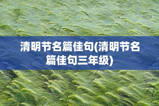 清明节名篇佳句(清明节名篇佳句三年级)