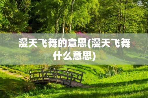 漫天飞舞的意思(漫天飞舞什么意思)