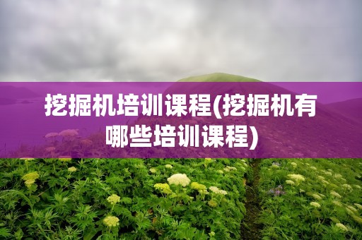 挖掘机培训课程(挖掘机有哪些培训课程)