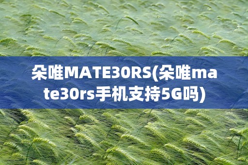 朵唯MATE30RS(朵唯mate30rs手机支持5G吗)