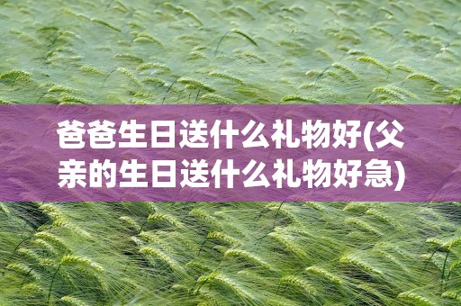 爸爸生日送什么礼物好(父亲的生日送什么礼物好急)