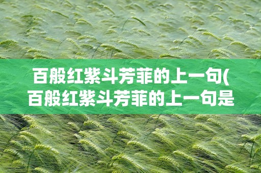 百般红紫斗芳菲的上一句(百般红紫斗芳菲的上一句是什么)