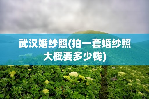 武汉婚纱照(拍一套婚纱照大概要多少钱)
