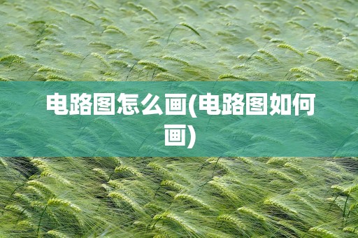 电路图怎么画(电路图如何画)