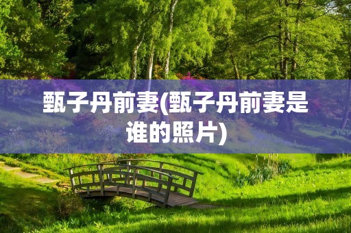 甄子丹前妻(甄子丹前妻是谁的照片)