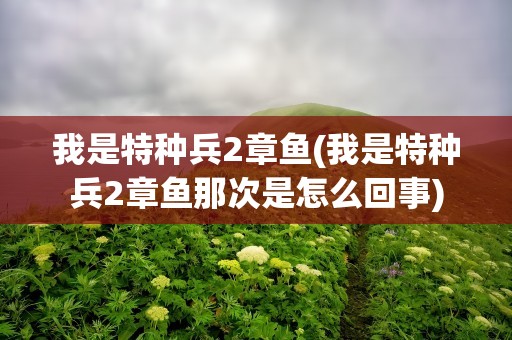 我是特种兵2章鱼(我是特种兵2章鱼那次是怎么回事)