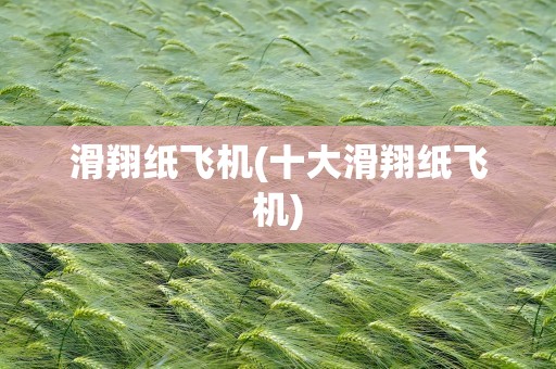 滑翔纸飞机(十大滑翔纸飞机)