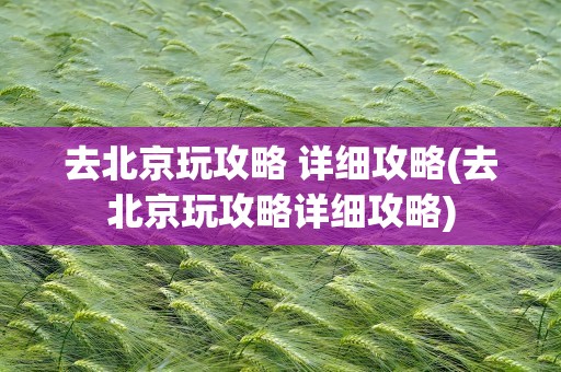 去北京玩攻略 详细攻略(去北京玩攻略详细攻略)