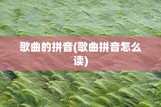 歌曲的拼音(歌曲拼音怎么读)