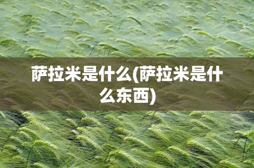 萨拉米是什么(萨拉米是什么东西)