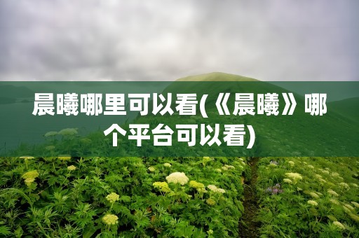晨曦哪里可以看(《晨曦》哪个平台可以看)