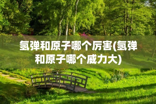 氢弹和原子哪个厉害(氢弹和原子哪个威力大)