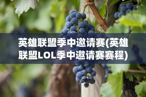 英雄联盟季中邀请赛(英雄联盟LOL季中邀请赛赛程)