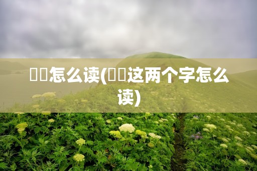 鹡鸰怎么读(鹡鸰这两个字怎么读)