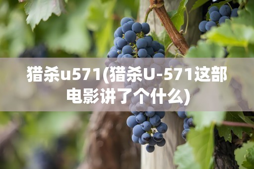 猎杀u571(猎杀U-571这部电影讲了个什么)