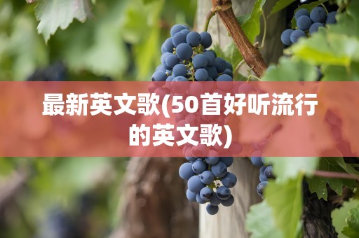 最新英文歌(50首好听流行的英文歌)