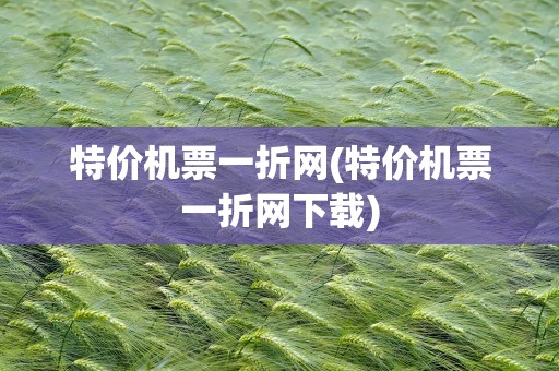 特价机票一折网(特价机票一折网下载)